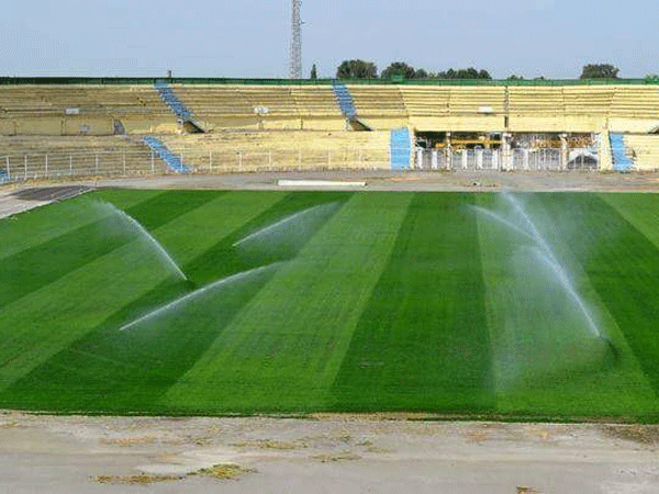 Gəncə şəhər stadionunun zəmisində son durum