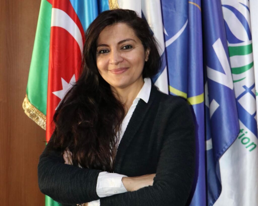 Nərgiz İsmayılovaya növbəti təyinat