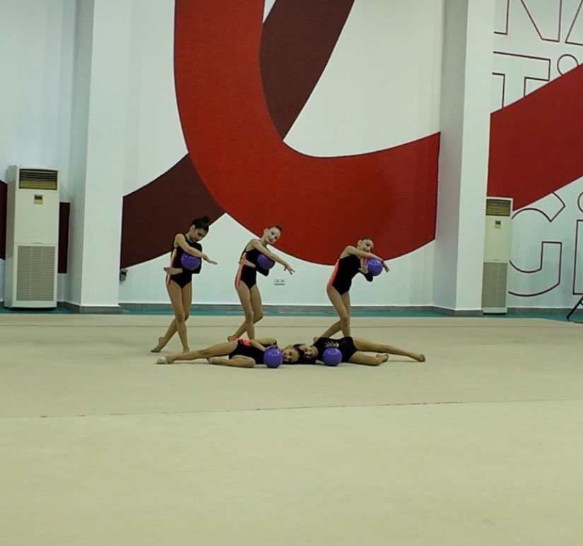 Bədii gimnastika birinciliyi