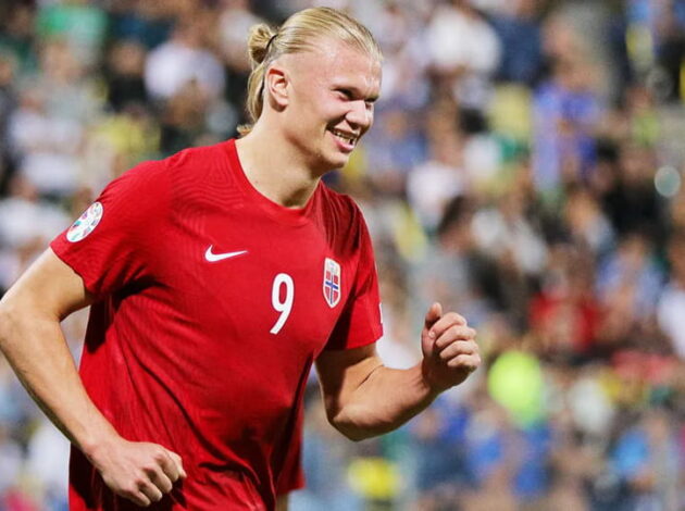 Holand şahmat dünyasına sərmayə qoyur